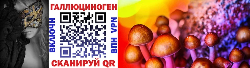 блэк спрут вход  хочу   Кандалакша  Галлюциногенные грибы Psilocybine cubensis 